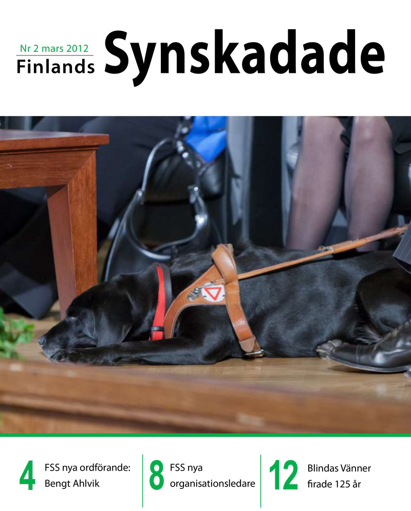 Finlands Synskadade nummer 2, 2012