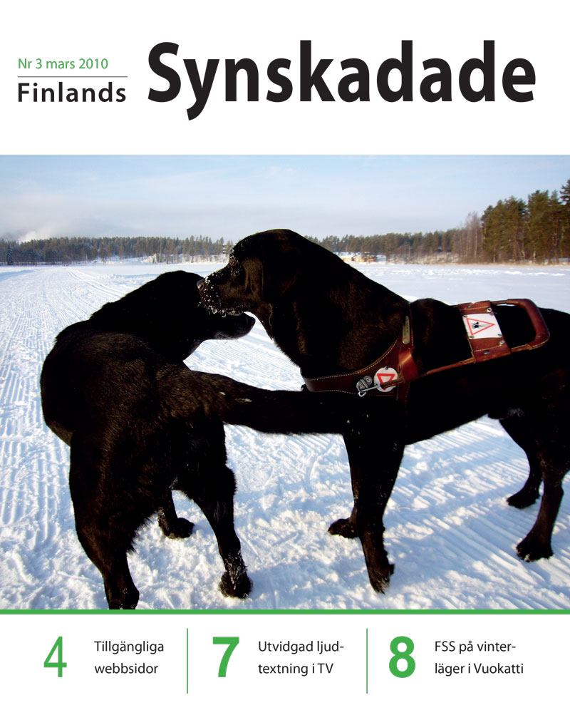 Finlands Synskadade nummer 3, 2010