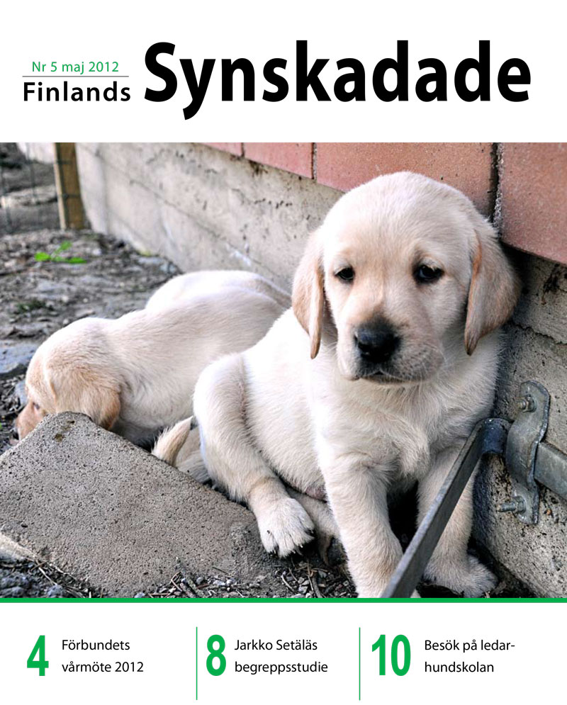 Finlands Synskadade nummer 5, 2012