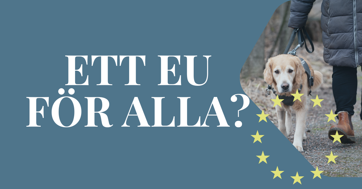 Bild av en brunvit ledarhund med sele som går längs en väg. Text mot blågrå bakgrund: Ett EU för alla? EU:s stjärnor i gult.  