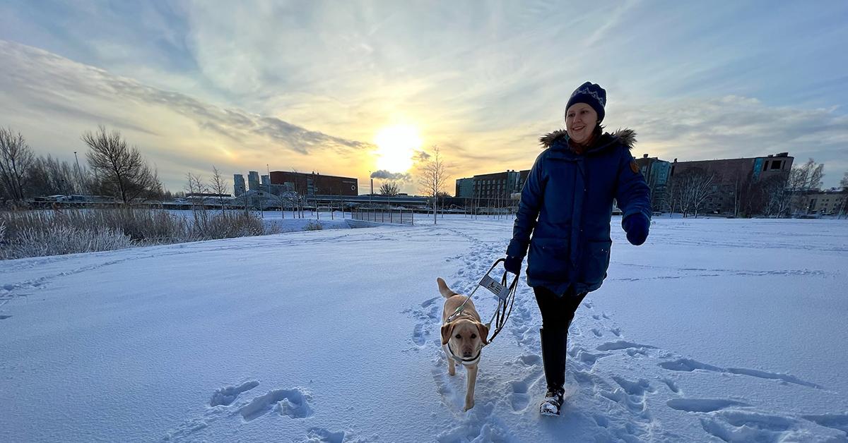 Veera Florica Rajala och ledarhunden Palo kommer gående över ett snötäckt fält. Solljuset reflekteras i snön, och fot- och tassavtryck bildar kringlande stigar i snön. Bakom Veera syns höghus och några bladlösa träd. Foto: Henrika Mercadante