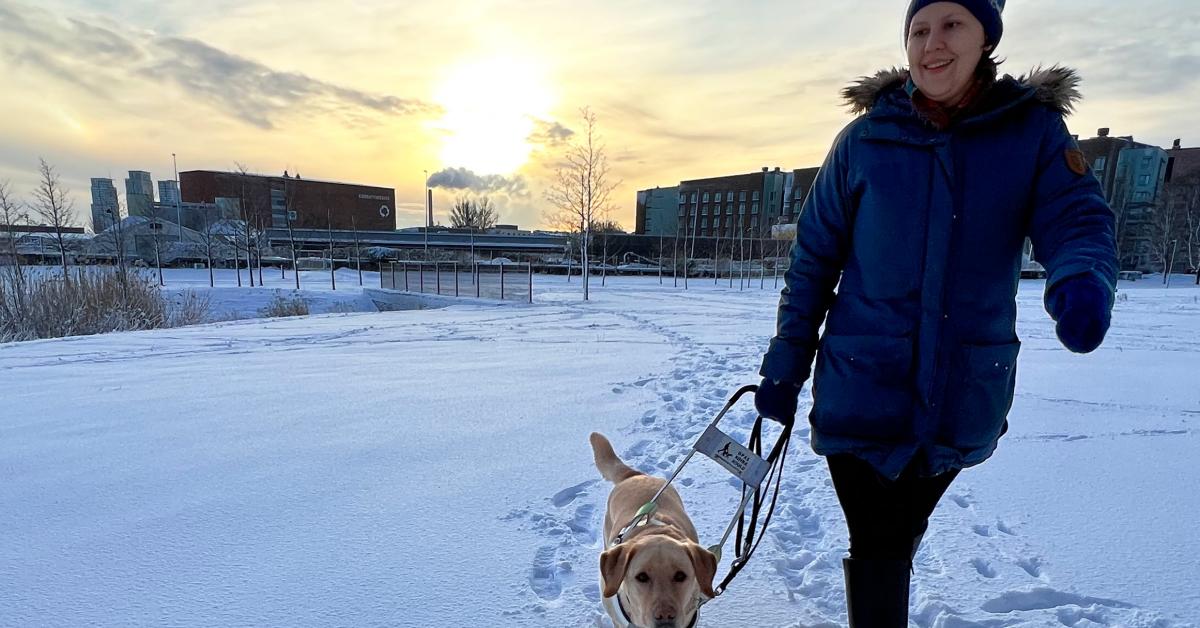 I ett vintrigt landskap traskar en matte mad sin ledarhund